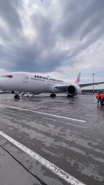 Boeing 787 Japan airlines #japan #japanairlines #boeing #airplane #shorts смотреть онлайн