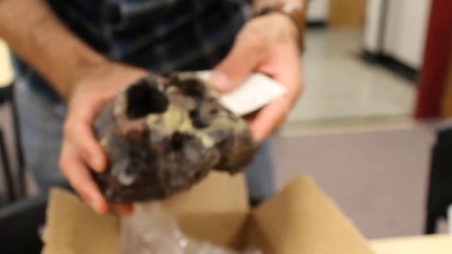 Unboxing a Kenyanthropus Platyops Skull Replica! смотреть онлайн