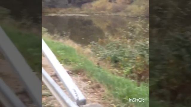 Рыбак Чеченец Беслан из Швеции, демонстрирует пойманную щуку. смотреть онлайн