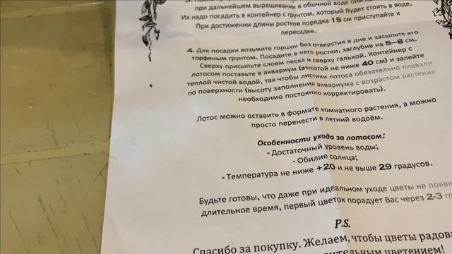 Пруд в гараже.Как выращивать лотос.Много разного лотоса будем проращивать смотреть онлайн