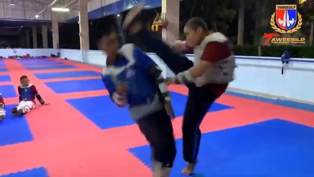 (Taekwondo) Basic Movement for Sparring Taweesilp Taekwondo Thailand смотреть онлайн
