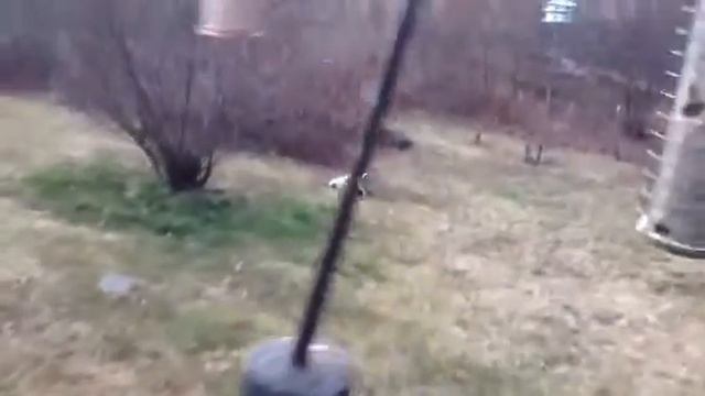 Bently digs смотреть онлайн