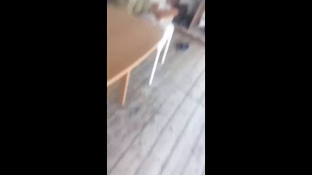 Короче говоря кошка смотреть онлайн