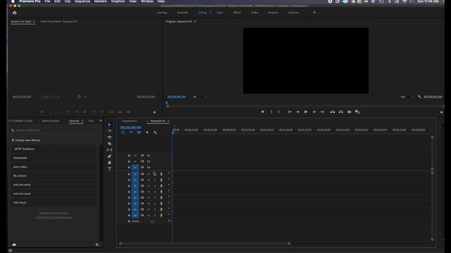 ADOBE PREMIERE MULTI CHANNEL AUDIO SEQUENCE смотреть онлайн