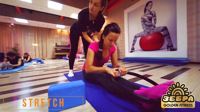 𝐒𝐓𝐑𝐄𝐓𝐂𝐇 | video by Pro ElementS смотреть онлайн