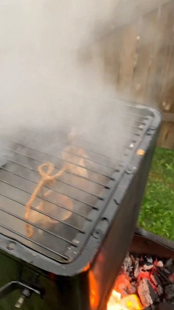 Дачные движения в копчении #рыба #shorts