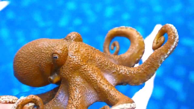 Волшебный Сундук РУСАЛКИ - Видео с игрушками Робокар Поли - Друг для осьминога смотреть онлайн