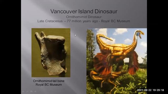 Remarkable Fossils of British Columbia, Canada смотреть онлайн