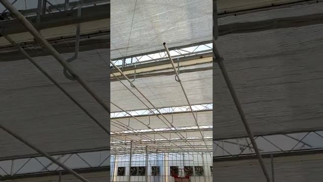 Презентация SEMAK GROUP смотреть онлайн