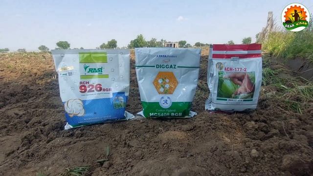 नरमा, कपास के बीज की सही मात्रा | 1 एकड़ में कितना डालें | cotton seeds | kapas ki kheti смотреть онлайн