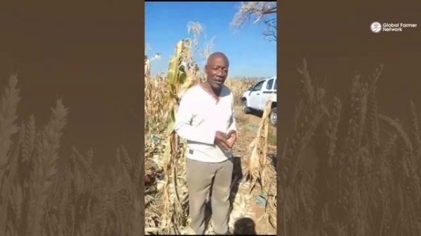 Global Farmer Network webinar series 2024 - Seed Technology