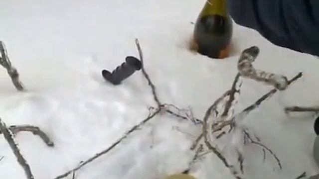 5# Как сделать ловушку лунку на куропаток_ How to make a trap for a grouse on a partridge смотреть онлайн