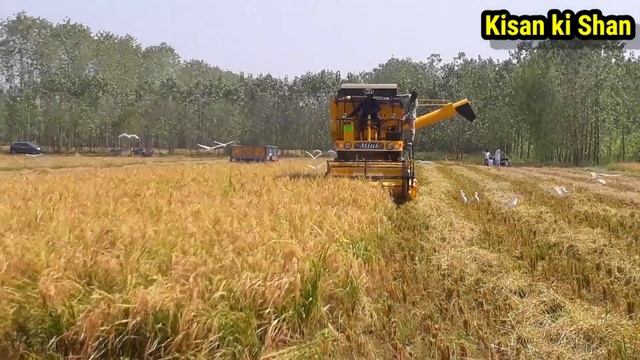 NS mini combine machine || NS mini 29 harvester | combine machine || mini harvester || mini combine смотреть онлайн