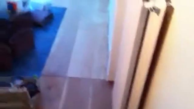 Planken vloer geschuurd door parketservice.nu ( parketservice oosterhout ) смотреть онлайн