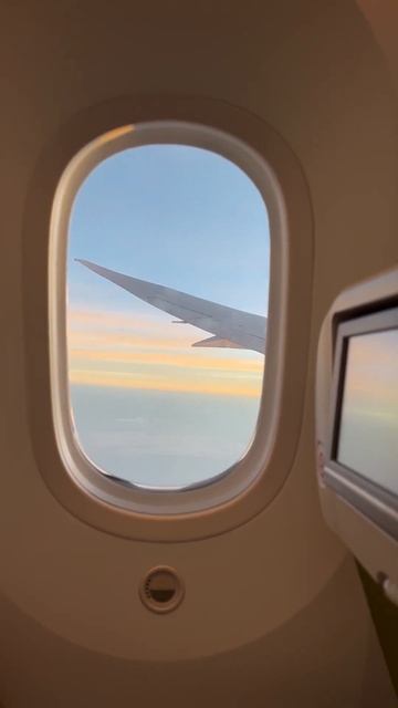 Boeing 787 flight #boeing #flight #sunset #airplane смотреть онлайн