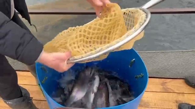 12-03-2025 смотреть онлайн