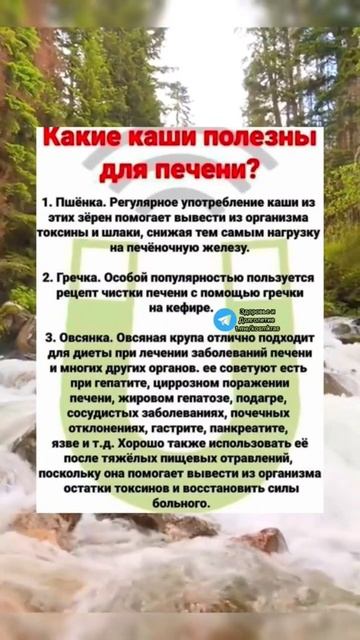 какие каши полезны для печени #здоров #здоровье #медицина #долголетие #народнаямедицина #зож