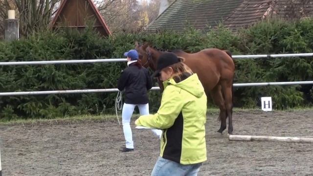 Haklák 7.11.2015 Trail na ruce Tubus a Lenka (3.místo) смотреть онлайн