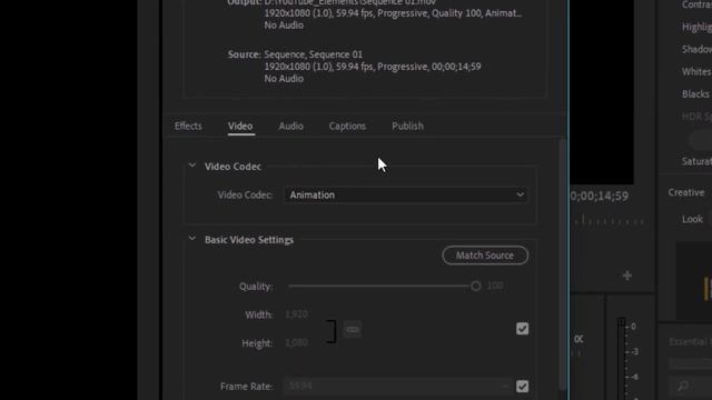 Export Transparent Graphics - Premiere Pro смотреть онлайн