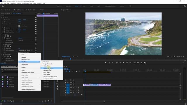 How to Use ADJUSTMENT LAYERS in Premiere Pro смотреть онлайн