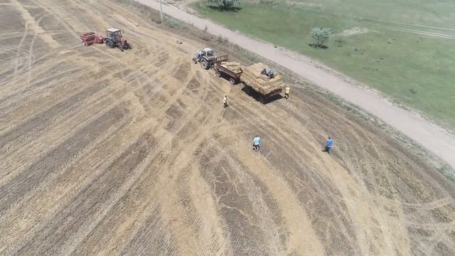 УБОРКА ХЛЕБОВ 2020 ГОДА В ГАГАУЗИИ