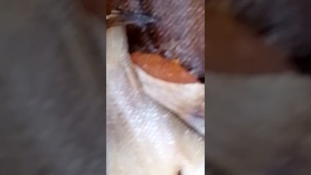 Легендарный Мурманский ерш вяленый