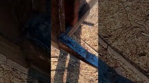 Вилы  для леса на кун мтз 82