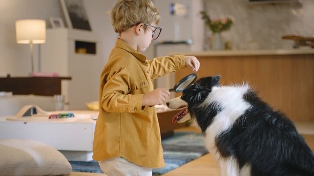 eufy | HomeVac S11 Go | Cordless, Stick-Vacuum Cleaner смотреть онлайн