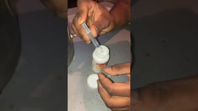 Deworm 4 weeks old puppies @TsmmKennelsVlogs смотреть онлайн