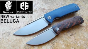 ✅ NEW variants BELUGA & BELUGA mini by Petrified Fish