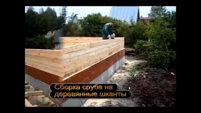 The planet teaches us everything, but we have learned how to build houses from timber смотреть онлайн