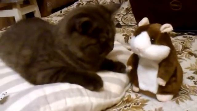 Манюня Ку_Сакова: Привет, Манюня, я хочу с тобой дружить) смотреть онлайн