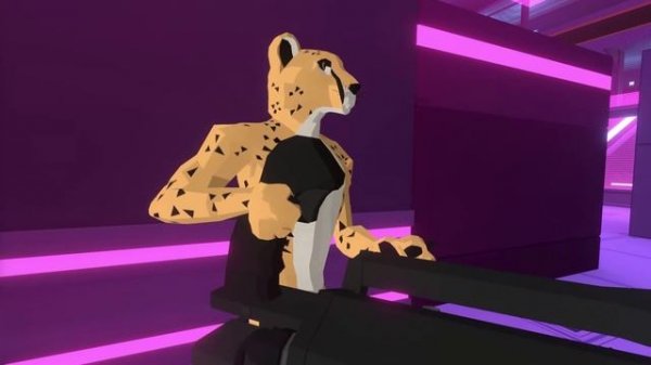 Cheaters Cheetah