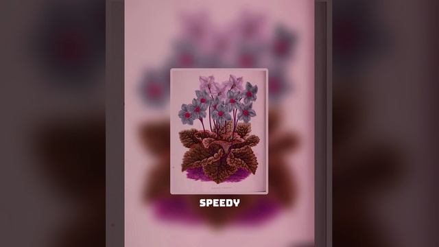 Teya Dora-Ramonda(sped up) смотреть онлайн