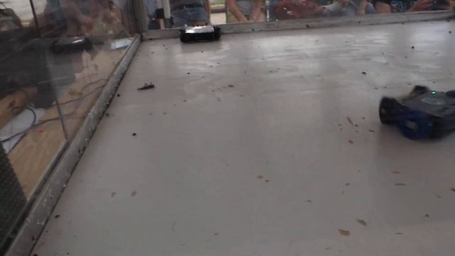 3 lb division; The Continuing Story of Bungalow Bill VS Blue Thunder; Turkey Tussle 2022 смотреть онлайн