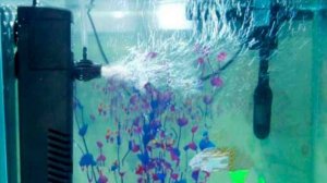 Домашний аквариум Внутренний фильтр для аквариума aquael turbo filter 50