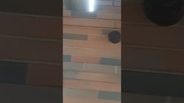 барбекю пеструшка смотреть онлайн