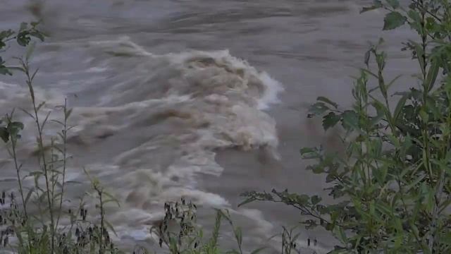 Talas смотреть онлайн