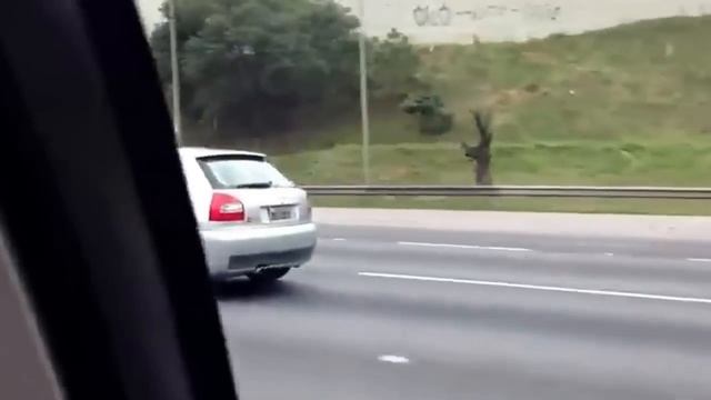 Audi S3 8L Acceleration K16 Turbo смотреть онлайн