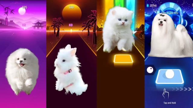 ☀️CUTE PUPPY 🆚️CUTE RABBIT 🆚️CUTE CAT 🆚️CUTE DOG☀️ TILES HOP EDM RUSH смотреть онлайн