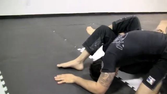 Eddie Bravo Seminar 2009 (pt 3 of 4) смотреть онлайн