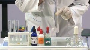 Лабораторный  опыт № 8 "Изучение свойств оснований" 8 класс