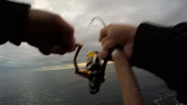 SPINNING INSHORE - Barracuda 5kg смотреть онлайн