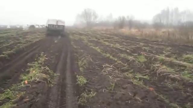 мтз 1021 с парой прицепов