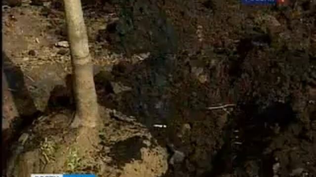 В Москве проходит субботник смотреть онлайн