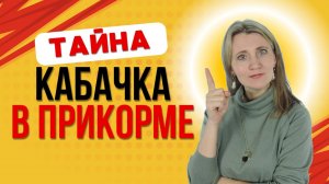 Кабачок в прикорме: когда начинать давать?