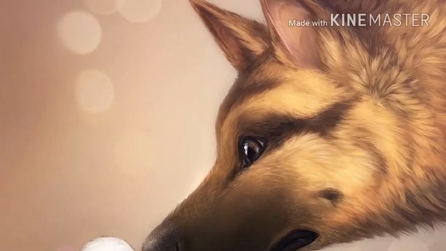 Слайд шоу милые картинки