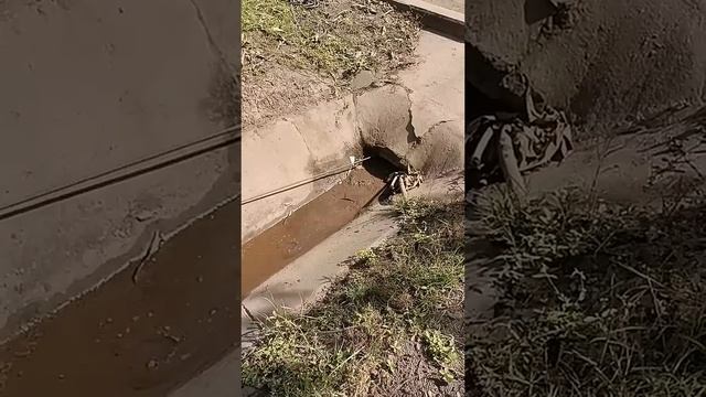 Pulling a tire to clean a pipe смотреть онлайн