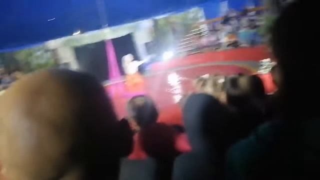 мы в цырке юрского периода 1 часть смотреть онлайн