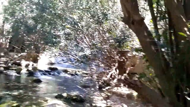 Las Fuentes del Algar Les Fonts de l'Algar Водопады Альгар Бенидорм Испания смотреть онлайн